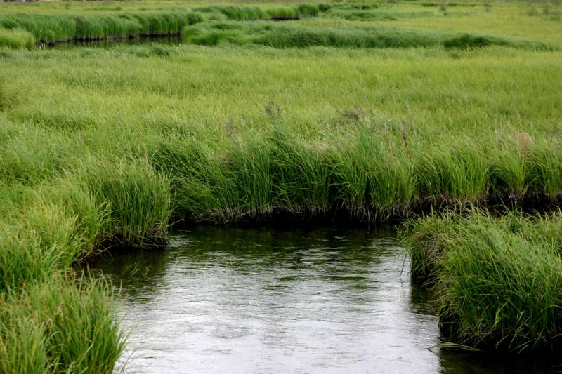070404 Hope Hatcher Montana Creek (10079)